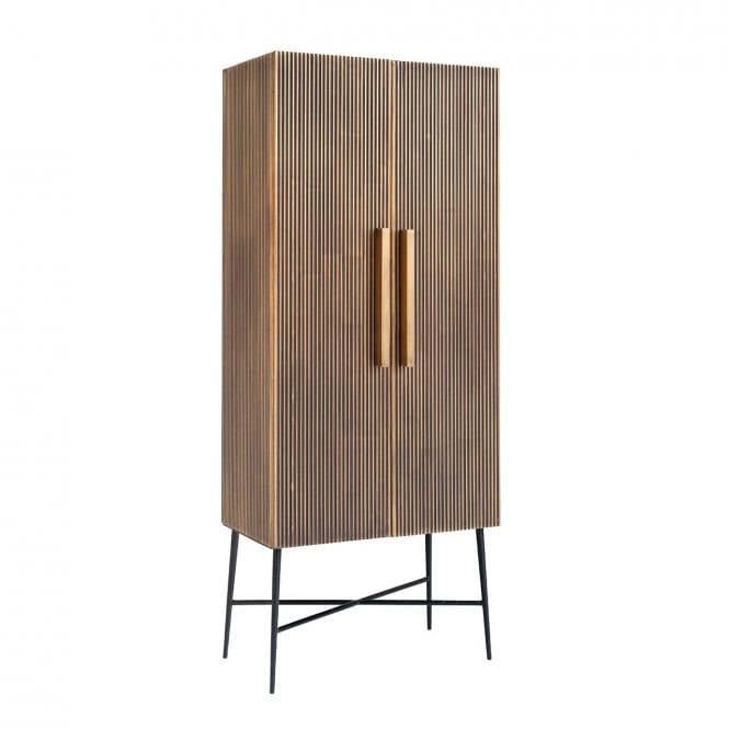 Ironville Mid Century Modern Brass 2 Door Tall Cabinet