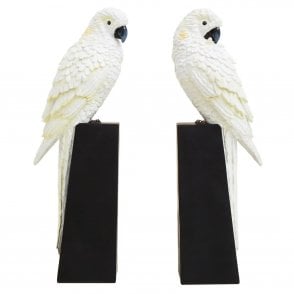 Élise White Parrot Bookends Set of 2 | Tropical Bird Shelf Decor