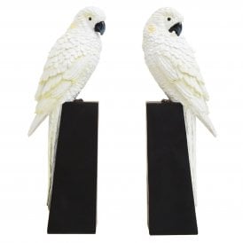 Set of two white parrot bookends with detailed feather texture, black beaks and tall black rectangular bases.